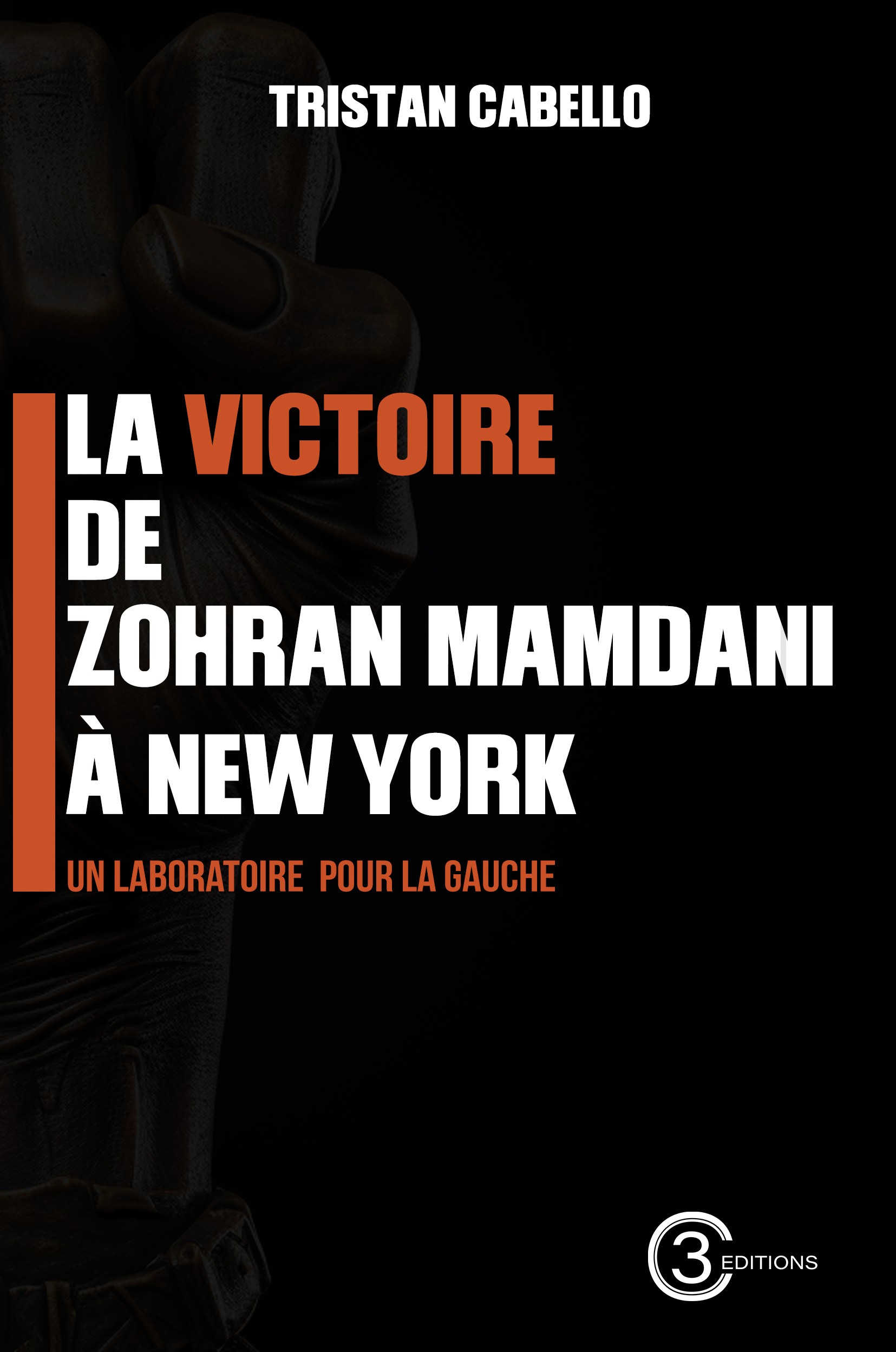 La victoire de  Zohran Mamdani  à New York: Un laboratoire pour la gauche